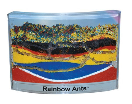 Rainbow Ants