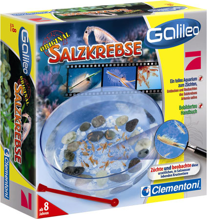 Galileo - Original Salzkrebse (ExpK)