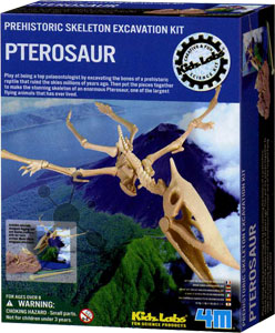 Dinosaurier Ausgrabung Pteranodon