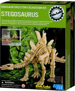 Dinosaurier Ausgrabung Stegosaurus