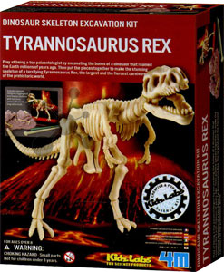 Dinosaurier Ausgrabung Tyrannosaurus Rex
