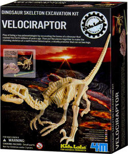 Dinosaurier Ausgrabung Velociraptor