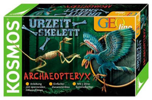 Urzeit-Skelett Archaeopteryx (ExpK)