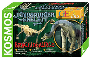 Urzeit-Skelett Brachiosaurus (ExpK)