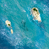Spielmatte Ozean (60 x 60 cm)